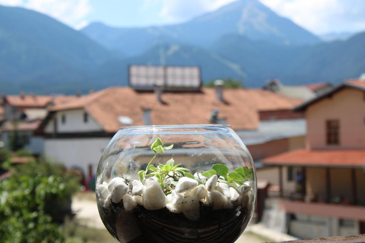 North Star Hotel Bansko Exterior photo