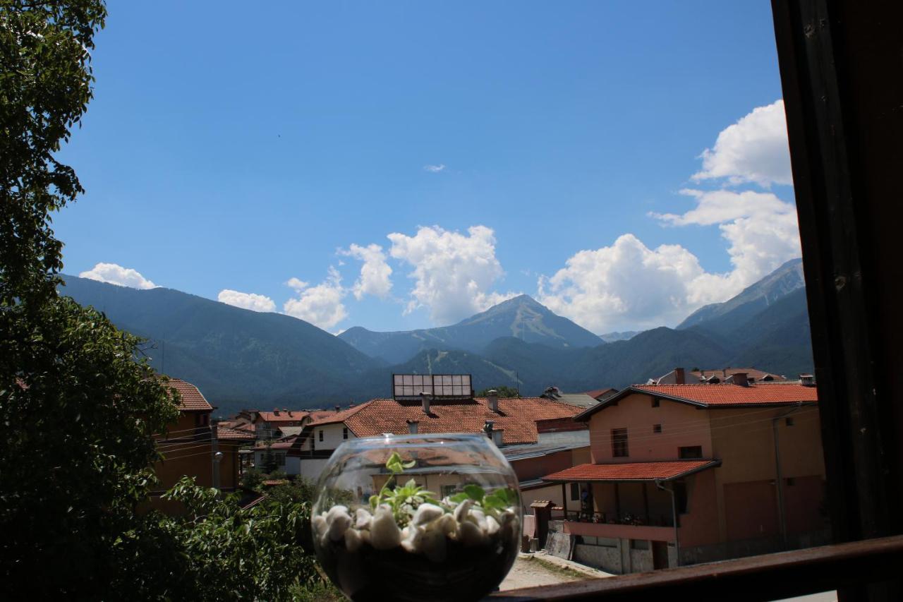 North Star Hotel Bansko Exterior photo